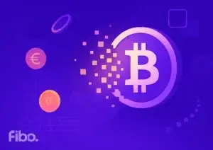 satoshi SAT de bitcoin