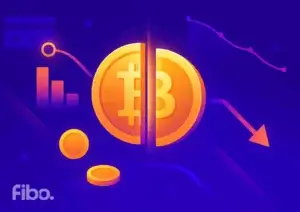 halving de bitcoin